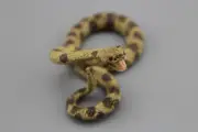 1/6 Scale Rattlesnake Snake Model for 12" Figure Scene Accessories