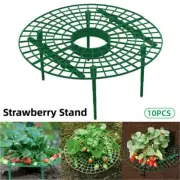 Strawberry Planting Shelf Garden Tools Vegetable Cultivation Rack Potted Stand