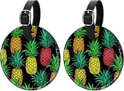 [YTYVAGT] Luggage Tags for Suitcases,Travel Tags for Luggage,Colorful Fruit Pineapple,2-Pc