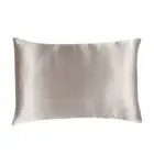 NEW Silk Magnolia Silk Pillowcase Silver Mist