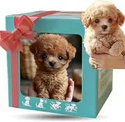 2025 New Robot Dog,Nicoo - My Realistic Robot Puppy - Walking, Barking, Tail Wagging,Realistics Robots Puppys That Acts Like A Real Puppys for Sitting,b
