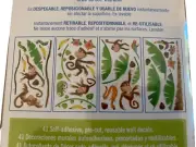 Monkey Jungle Wall Decals Set Of 41 Home Decor Kids Room