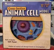 Learning Resources Cross-Section Animal Cell Model, Soft Foam, Multi-color