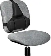 Fellowes Professional Series Back Support - Adjustable, Antimicrobial - Strap Mount - 15" x 2" x 14.5" - Black