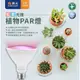 【舞光原廠授權 /紅藍光譜植物PAR燈】含稅開發票 舞光 LED 24W 植物燈 生長燈 紅藍光譜 植物專用 PAR38