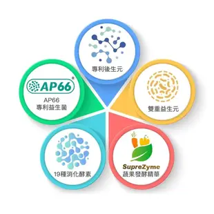 大研生醫 順暢酵素益生菌粉包 30包/盒 AP66專利益生菌 益生菌 順暢 酵素 調整消化道機能【立赫藥局】