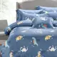 【艾唯家居】單人天絲床包枕套2件組 萊賽爾40支天絲 台灣製(恐龍時代)