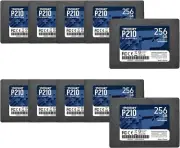 Patriot P210 256GB 2.5" SATA3 6GB/s Internal Solid State Drive For PC/MAC 10PACK