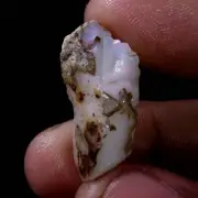 15.60 CTS. Ethiopian BIG Fire Opal Welo Rough AAA+ FIRE Cutting Grade USA DEALER