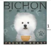 BICHON Handpainted Needlepoint Canvas Tango Chocolate