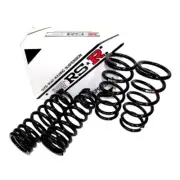RS-R Down SUS Lowering Springs for MOCO MG21S 2004/2-2006/1 K6A T S100D