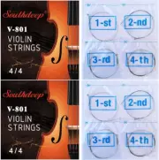 2 Sets Plated Steel Nylon Core Al-Mg Ni-Fe Soft Rich Full Tone 4/4 Violin String
