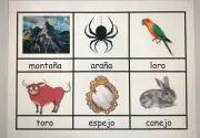 Rhyming words. Palabras que riman.