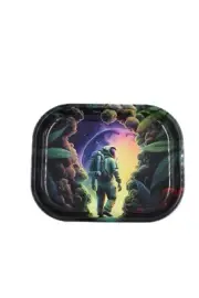 Decorative Remote Side Friendly Astronaut Tray Decoration Metal Snack