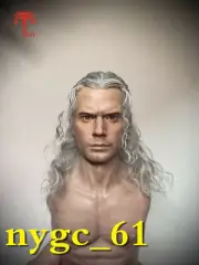 1/6 Male The Witcher Henry Cavill Head Sculpt Silver Hair Fit 12inch Figure PH