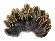 10 Pieces - Natural Brown Partridge Small Plumage Feathers Jewelry Fly Tying