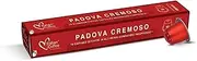 [Delicitaly] Pure Italian Food Italian Coffee pods compatible with Nespresso original machines, Espresso capsules (100 Padova Aluminum Pods, 100 Count (Pack of 1))