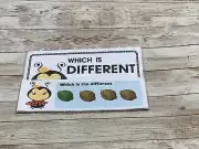 Lady Bug - Themed Learning Centers - Laminated - Which Is Different