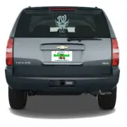 Washington Trio - Nationals, Capitols, Commanders Custom Vinyl Decal