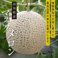 在飛比找momo購物網優惠-【WANG 蔬果】日本高知縣溫室綠哈密瓜1玉x1盒(約1.5