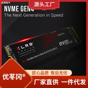 pny xlr8 cs3040 1t 2t m.2 pcie nvme m2固態 筆記本臺式ssd