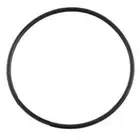 Davey Sureflo DSF / Starflo SF Series Pump Lid Oring