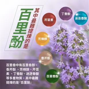 【Herbmax 大荷生研】清新療肺草膠囊3入 30粒/瓶(聚葡萄糖、療肺草、百里香萃取)