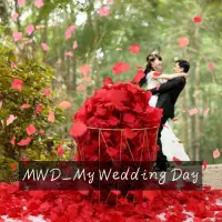 在飛比找momo購物網優惠-【MWD】婚禮花瓣 仿真花瓣 約八百片 WD0364(進場花