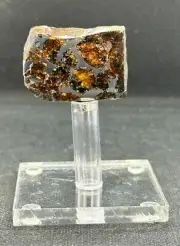 RARE PALLASOVKA METEORITE PALLASITE PARTIAL SLICE 13,51 g