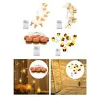 LED Fairy Light Indoor Outdoor String Light for Party Restaurant Birthday