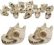 Decorative Stones | Plant Rocks,20X Polished Dragon Skull Design Accessories, Decoration Crafts for Garden Landscaping, Indoor Outdoor