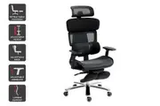 Ergolux Pro Max Ergonomic Mesh Office Chair with Footrest (Black)