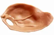 Veggie Ears 20 pack free post alt to pig ears