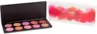 COASTAL SCENTS 10 Piece Professional Blush Palette 10 BLUSH PALETTE PL-012 - NIB