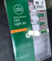 LED Candy Cane String Light Set 25 light set Battery Op. Free Shipping