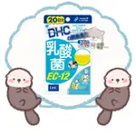 🦦水獺日韓嚴選🦦 日本正品現貨【免運】DHC 乳酸菌EC-12 20日份