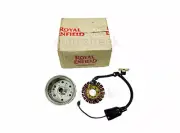 Royal Enfield Himalayan 411 cc BS4 Stator And Rotor Assembly