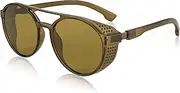[FEISEDY] Classic Steampunk Sunglasses for Men Women Retro Round Gothic Shades B2957