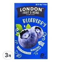 在飛比找Coupang 酷澎優惠-LONDON FRUIT & HERB 藍莓茶包