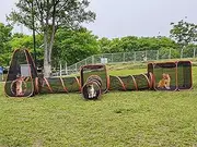 Portable Cat Playpen Outdoor Enclosures - Folding Play Tent Tunnel Cube Compound Pet House for Cat Puppy Dog Rabbit