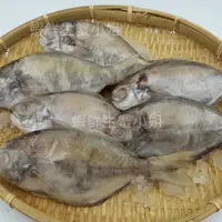 在飛比找蝦皮購物優惠-【海鮮7-11】 肉魚 100-120g 10隻裝 🚩肉魚，