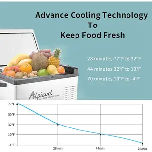 Alpicool 冰虎 C30 車用冰箱 DC 行動冰箱 保冰箱 小冰箱 露營冰箱 釣魚冰箱 12V 24V 車載冰箱