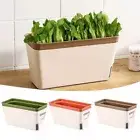 Indoor Flower Planter Box Flower Pot Rectangular Vegetable Planter