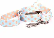 Yellow Dog Design Blue and Melon Polka Dot Dog Leash 1" Wide and 5' (60") Long, Large