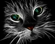 Fractal Cat ~ Cats, Kittens ~ DIY Counted Cross Stitch Pattern Printed