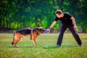 PULLER, FRISBEE FLYING RiNG. Interactive dogs Toy For Training And Fitness