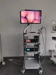 Full HD 1080P Portable Endoscope Camera System With Light Source for Laparoscopy