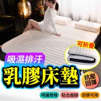 在飛比找蝦皮購物優惠-台灣現貨 加厚9公分乳膠床墊 天然乳膠床墊 單人床墊 雙人床