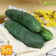 鮮採家 台灣特級鮮脆胡瓜 大黃瓜5台斤(3KG)