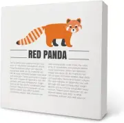 Knibeo Red Panda Wood Box Sign Desk Decor, Decorations for yqdw05-5